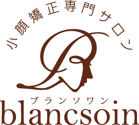blancsoin-salon.com